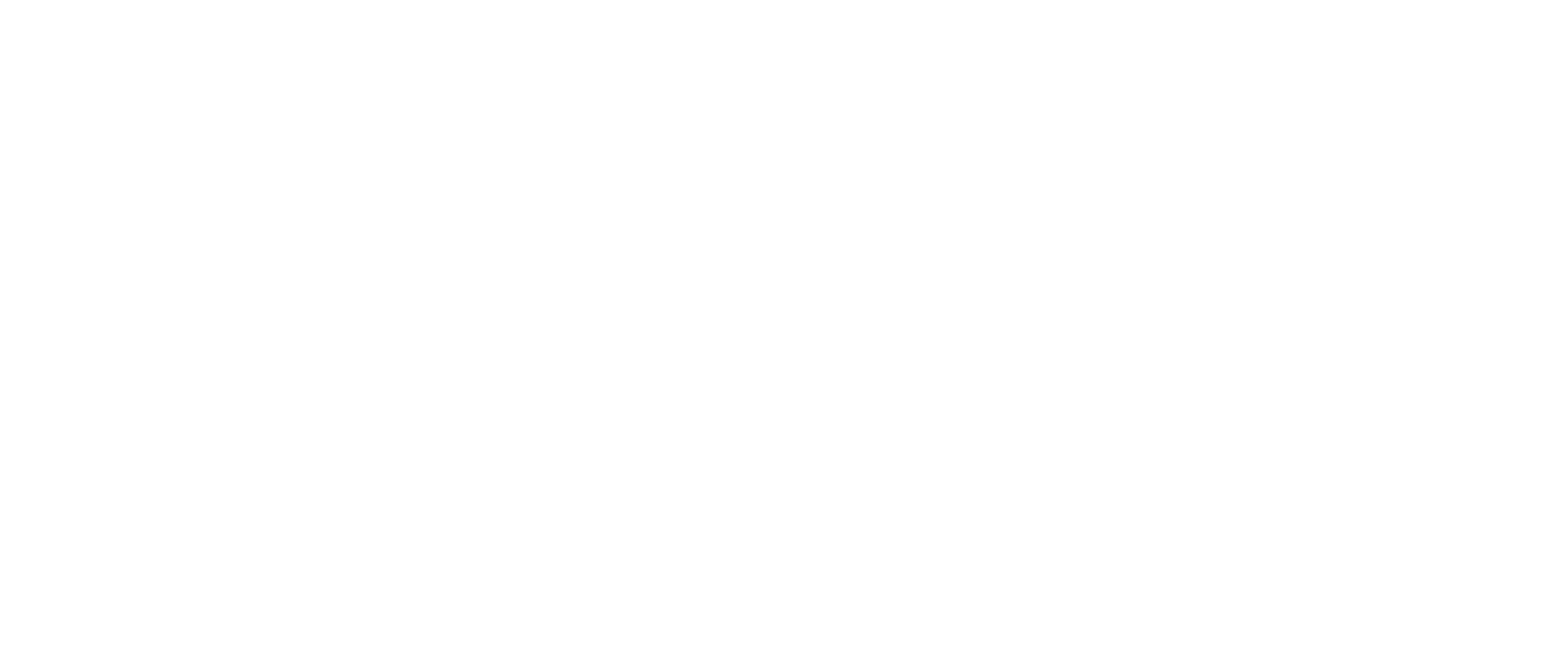 Logo bianco_NPLs_RE