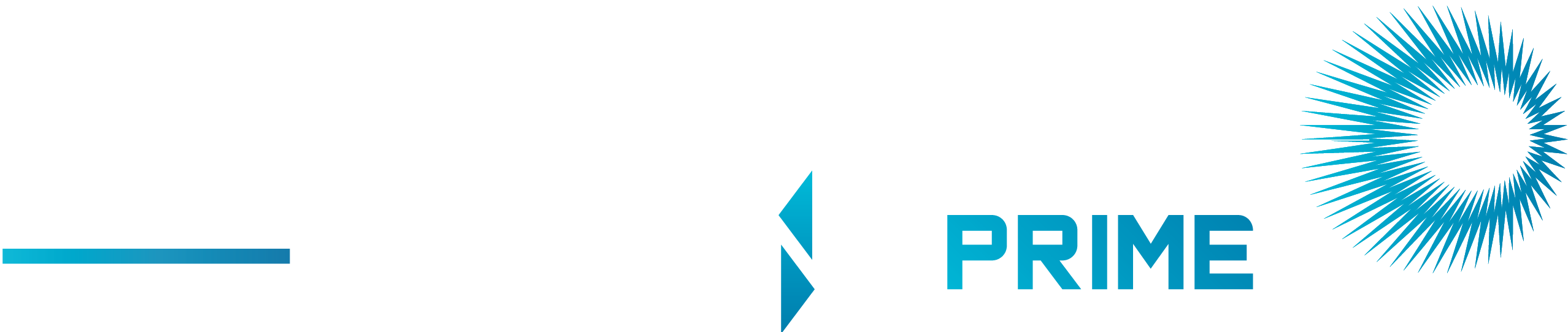 PP_logo_white&blue